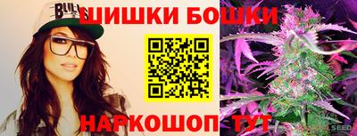 индика Пенза