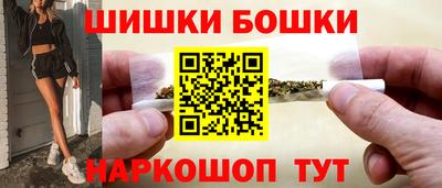 индика Пенза