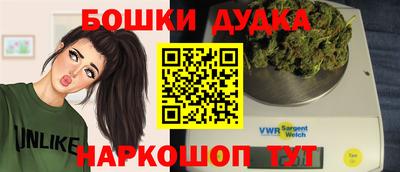 индика Пенза