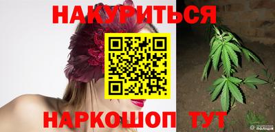 индика Пенза