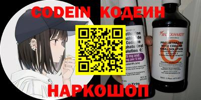 индика Пенза