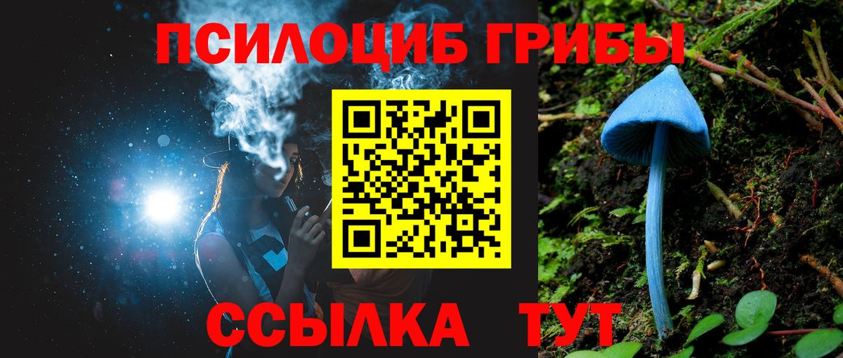 Псилоцибиновые грибы Cubensis Благодарный